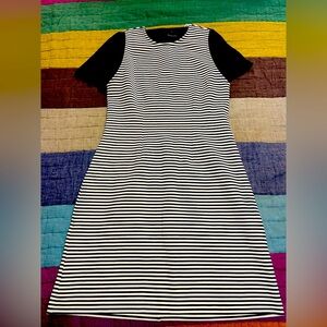 NWT, Everlane B/W Striped Shift Dress and Black Everlane Ribbed Tshirt, Size S
